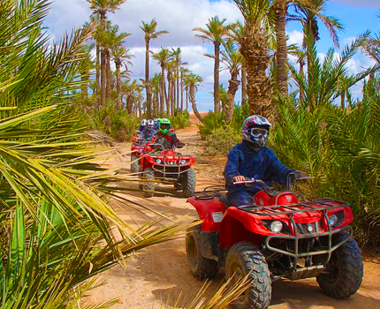 Activity Buggy Ride Palm Grove Of Marrakech