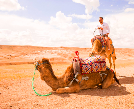 Activity Sunset Camel Ride In Agafay Desert