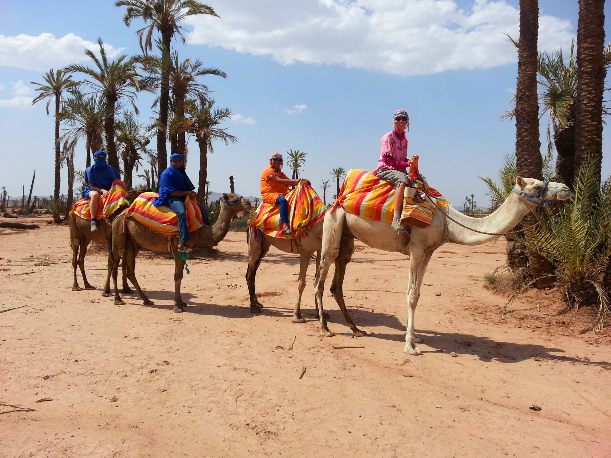 Activity Camel Ride Palm Grove Of Marrakech