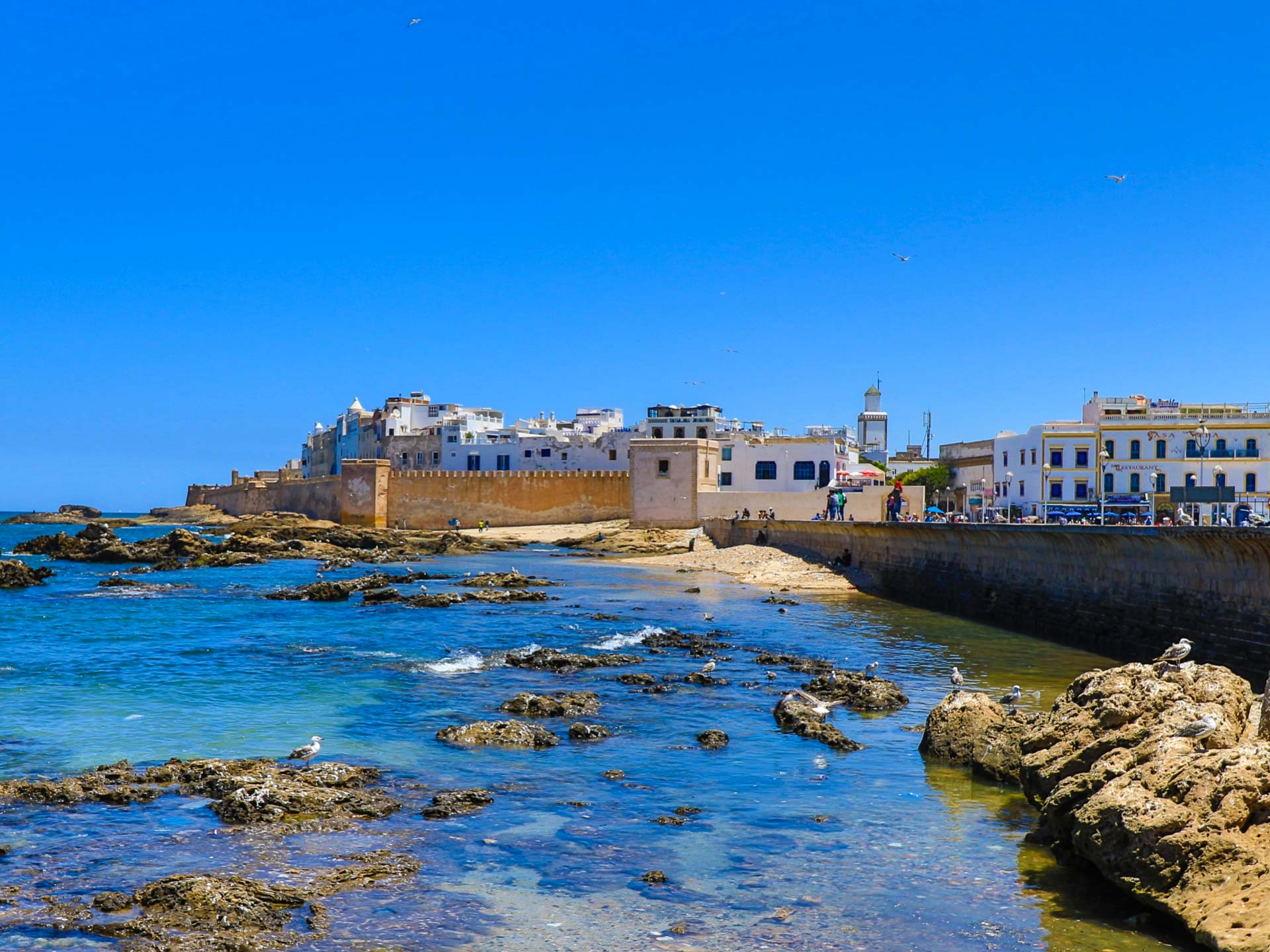 Day Trip To Essaouira City From Marrakech