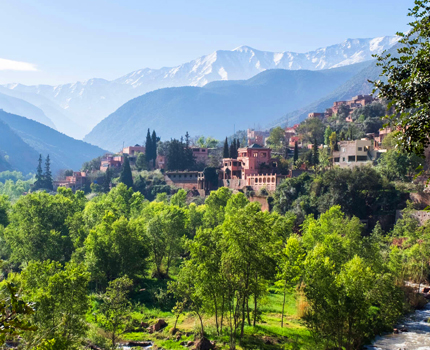 Day Trip To Ourika Valley From Marrakech